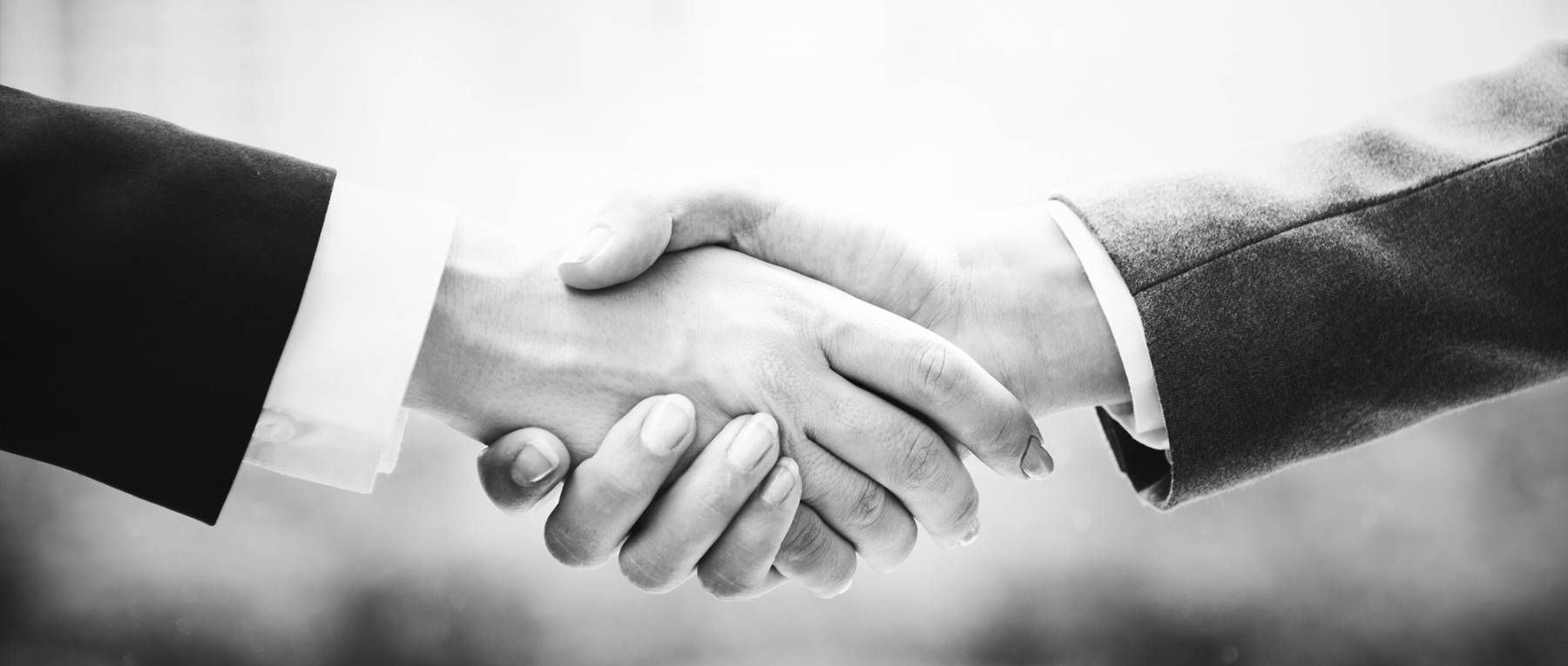 Public Private Partnership (PPP)